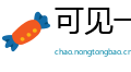 可见一斑网